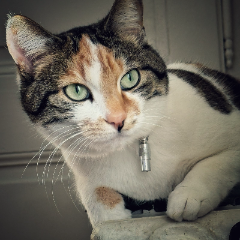 Gilda