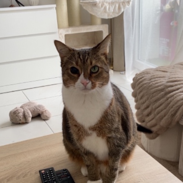 Mimi