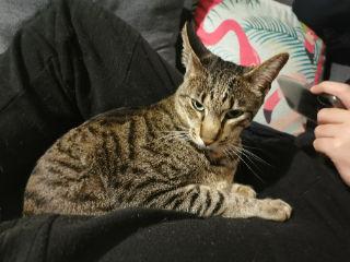Osiris
