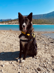 Lilou