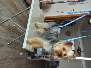 Ulko