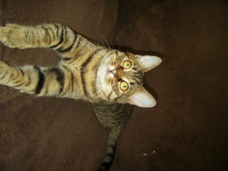 twix