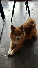 Chloé