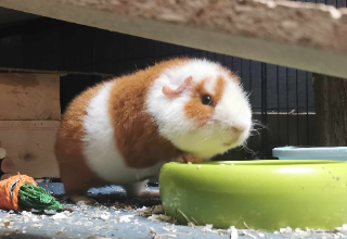 Twix