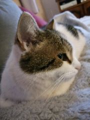 LILOU