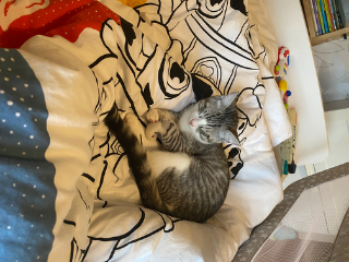 Rocket