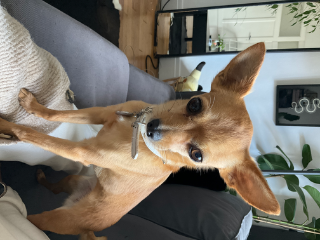 Zoe
