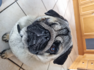 Billy