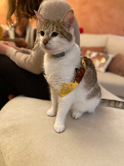 Oliver