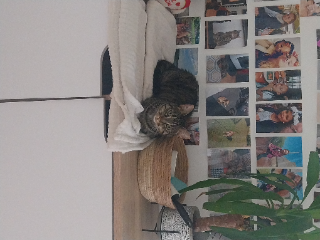Olympe