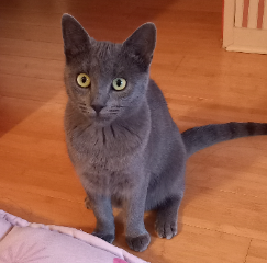 Luna