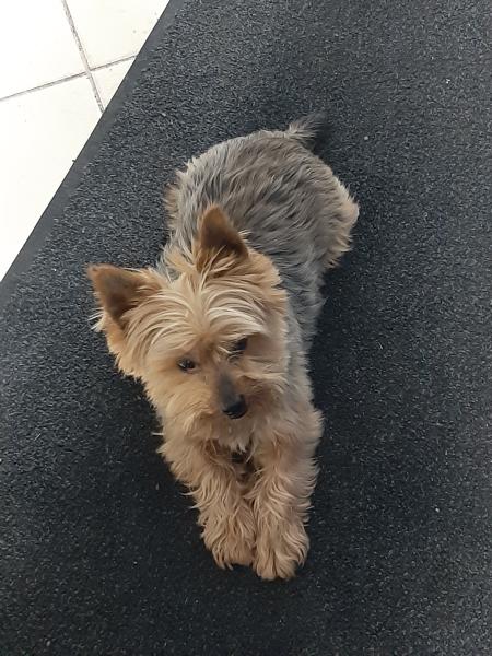 Doudou