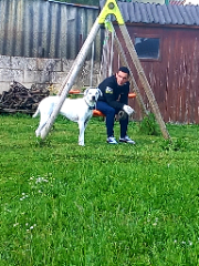PAPUCHE