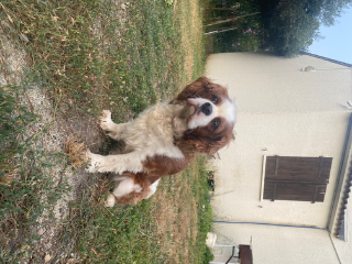 Samy