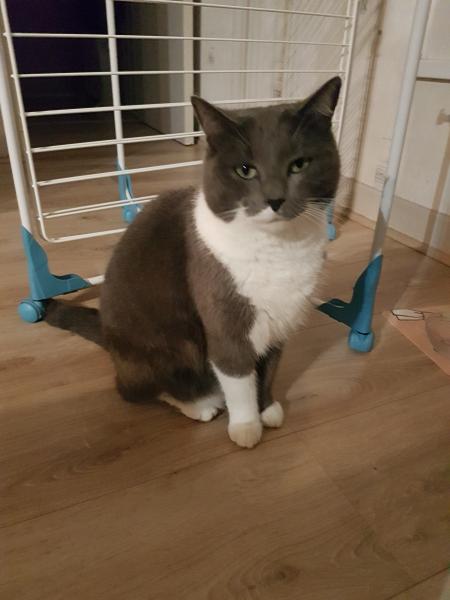Java