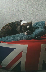 Kiki
