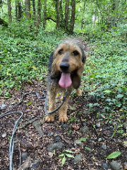 Diego