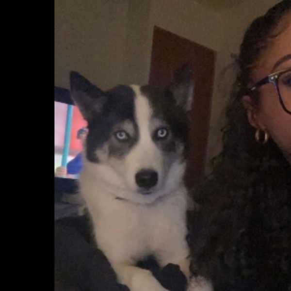 Maya