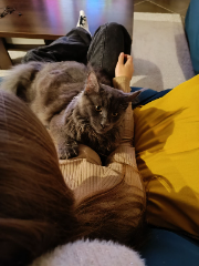 Koba
