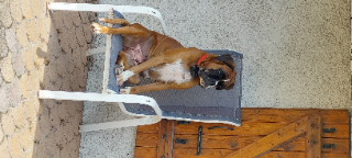 Roxy
