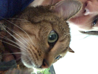 DOUDOU