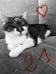 JACK