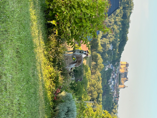 Ulysse