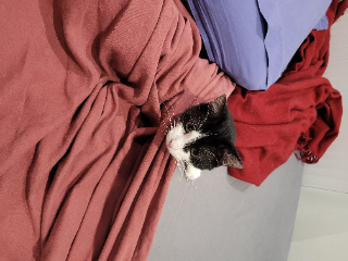 Berlioz