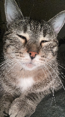 Pablo