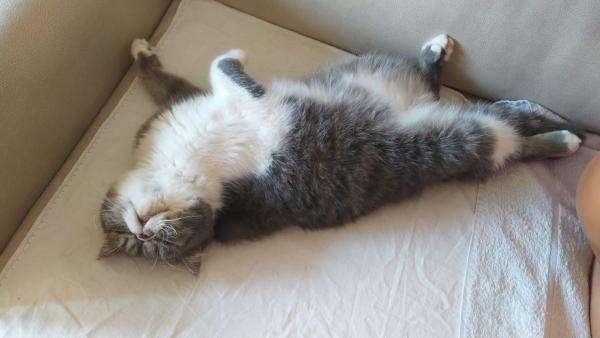 Photo de Iago