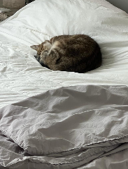 Mimi