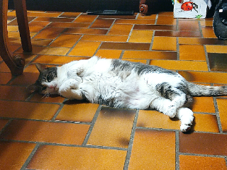 Nora