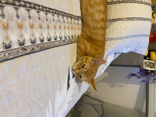 Caramel