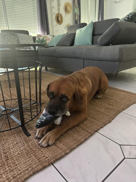 Nala