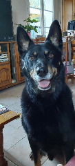 MICKY
