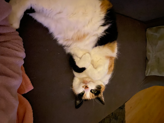Zoe