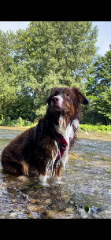 Ukko