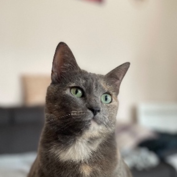 Pixel