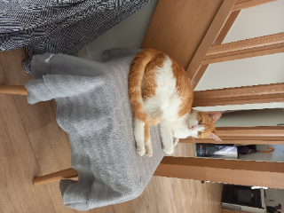 Oscar