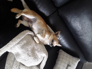 POUPI