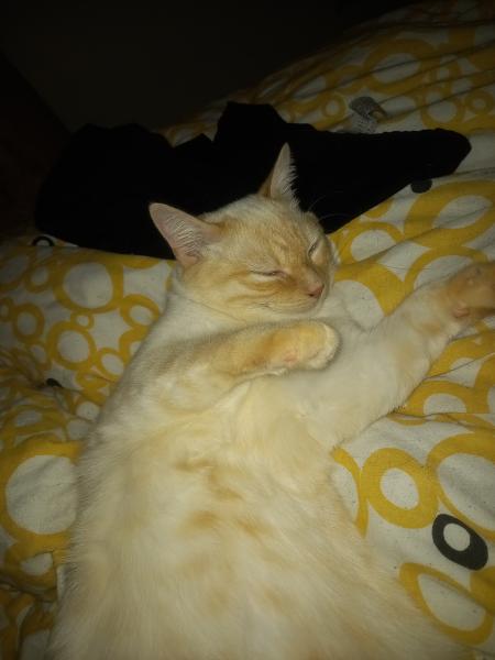 weasley