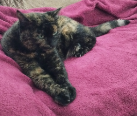 Bella