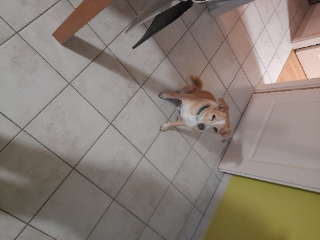 Roky