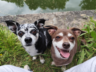 Indie et Jana