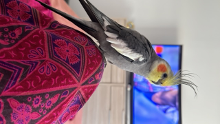 Julio