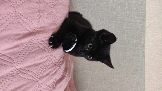 Lilith