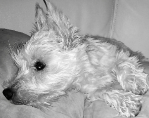 Lilou