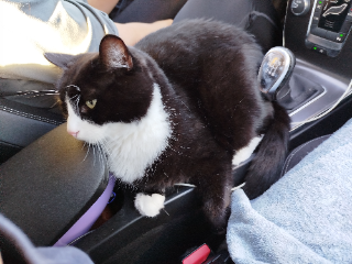 O'Malley