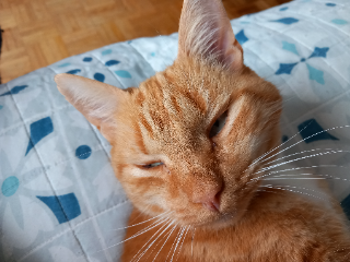 Ajax