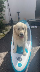 Olaf